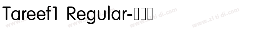 Tareef1 Regular字体转换
